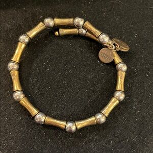 Alex and Ani Gold and Silver Tone Bracelet